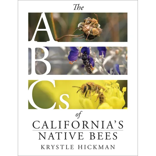The ABCs of California's Native Bees