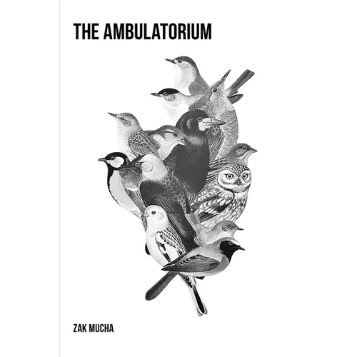 The Ambulatorium