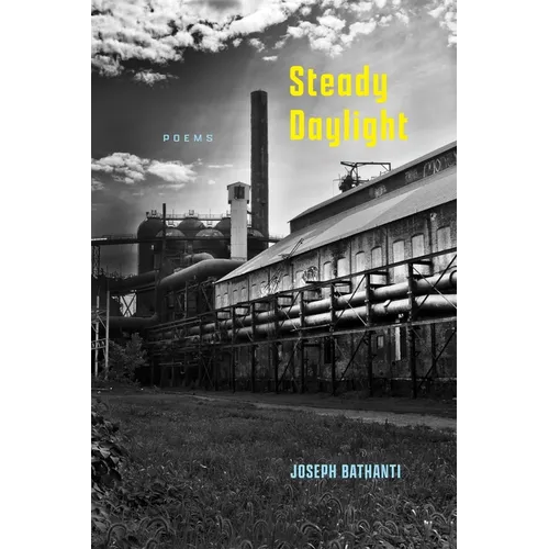 Steady Daylight: Poems