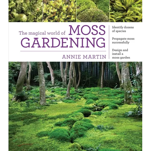 The Magical World of Moss Gardening