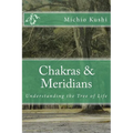 Chakras & Meridians