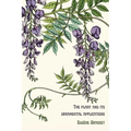 The plant and its ornamental applications
