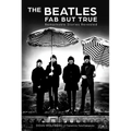 The Beatles: Fab But True: Remarkable Stories Revealed
