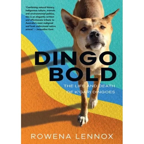 Dingo Bold: The Life and Death of K'gari Dingoes