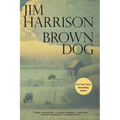 Brown Dog