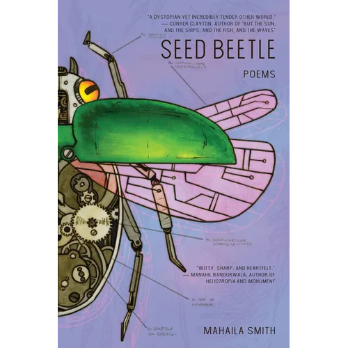 Seed Beetle