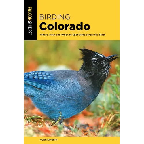 Birding Colorado