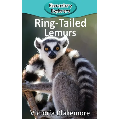 Ring-Tailed Lemurs
