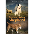 Central Asian Shepherd