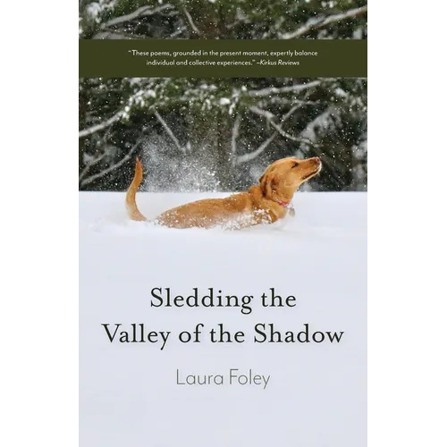 Sledding the Valley of the Shadow