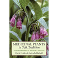 Medicinal Plants in Folk Tradition