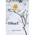 OBaaT - A Novel: One Bully at a Time