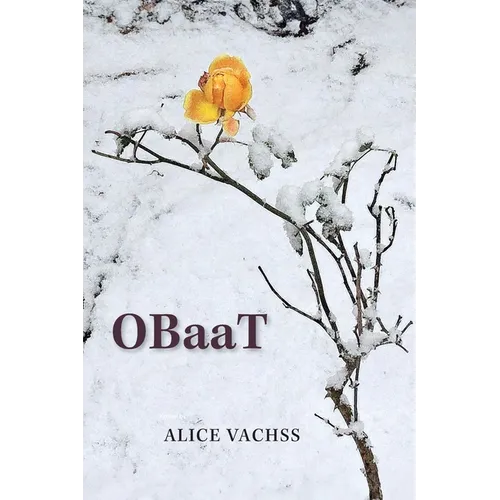 OBaaT - A Novel: One Bully at a Time