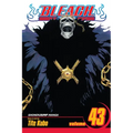 Bleach, Vol. 43: Kingdom of Hollows