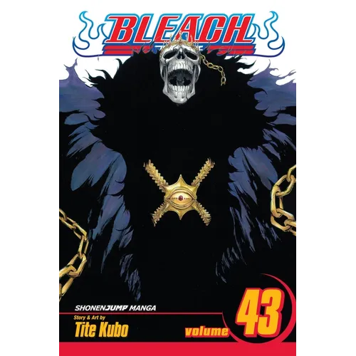 Bleach, Vol. 43: Kingdom of Hollows