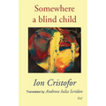 Somewhere a blind child