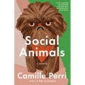 Social Animals