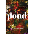 Pond