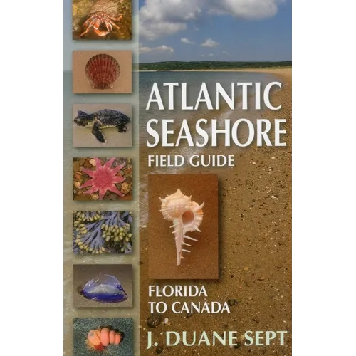 Atlantic Seashore Field Guide: Florida to Canada