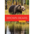 Brown Bears