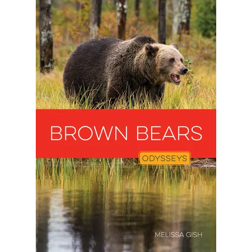 Brown Bears