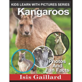 Kangaroos: Photos and Fun Facts for Kids