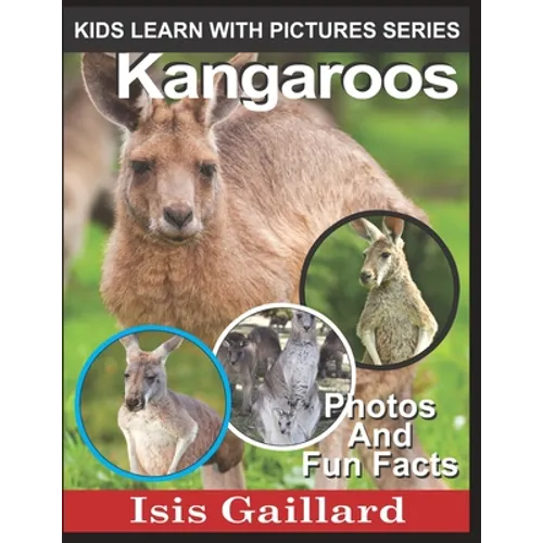 Kangaroos: Photos and Fun Facts for Kids