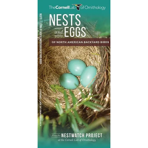 Nests and Eggs of North American Backyard Birds