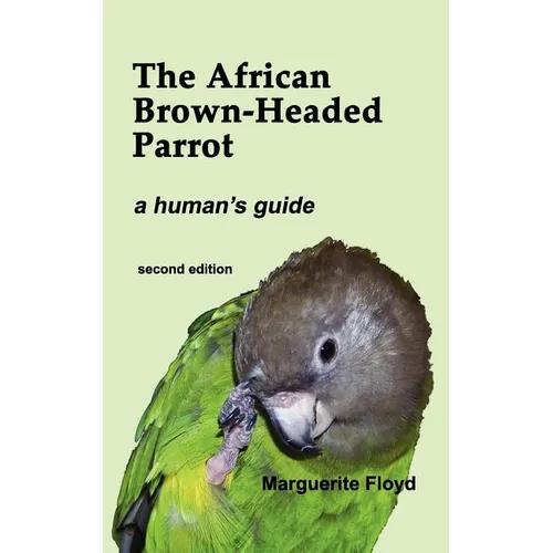 The African Brown-Headed Parrot