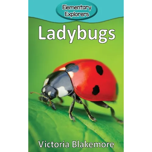 Ladybugs