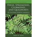 Ferns, Spikemosses, Clubmosses, and Quillworts of Eastern North America