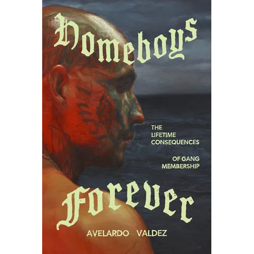 Homeboys Forever: The Lifetime Consequences of Gang Membership