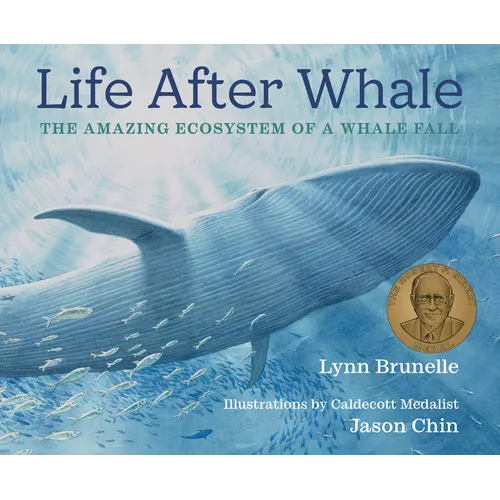 Life After Whale: The Amazing Ecosystem of a Whale Fall