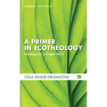A Primer in Ecotheology: Theology for a Fragile Earth