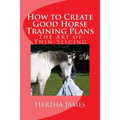 How to Create Good Horse Training Plans: The Art of Thin-Slicing