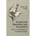 Guide for Drawing the Acanthus, and Every Description of Ornamental Foliage