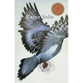 Pigeon