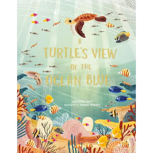 A Turtle's View of the Ocean Blue
