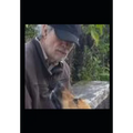 Reporte del perro: guau