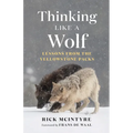 Thinking Like a Wolf: Lessons from the Yellowstone Packs