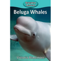 Beluga Whales