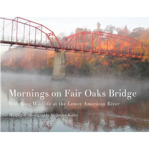 Mornings on Fair Oaks Bridge: Watching Wildlife at the Lower American River
