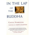 In the Lap of the Buddha