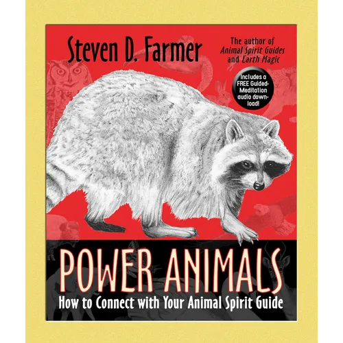 Power Animals: How to Connect with Your Animal Spirit Guide