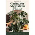 A mini-guide to caring for the Monstera plant