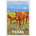 Insight Guides Texas: Travel Guide with eBook