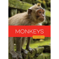 Monkeys