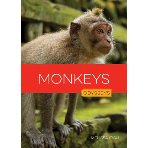 Monkeys