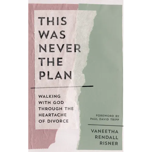 This Was Never the Plan: Walking with God Through the Heartache of Divorce