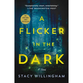 A Flicker in the Dark